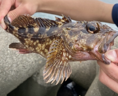 穴釣りで爆釣！！