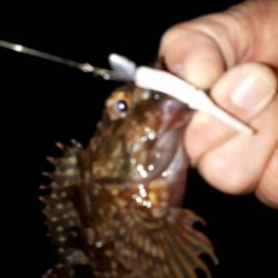 今回もいつもの神戸港