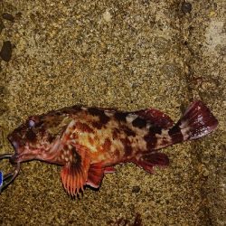 時合い短し‼️