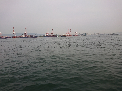 始発メバリング