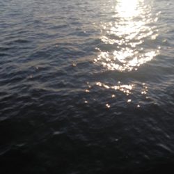 渋い中で価値ある２匹