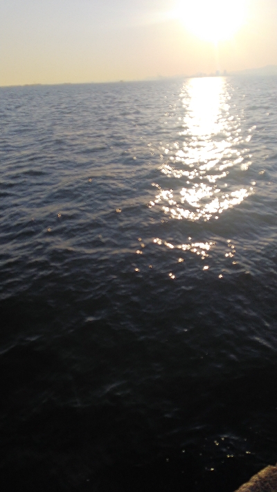 渋い中で価値ある２匹