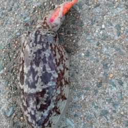 出張で出勤前にエキング