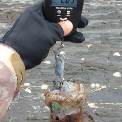 外出自粛要請ですが