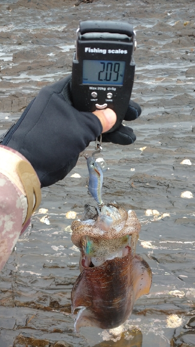 外出自粛要請ですが