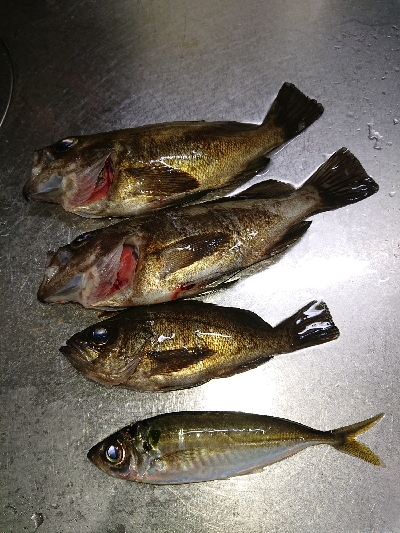 漁港のランガン