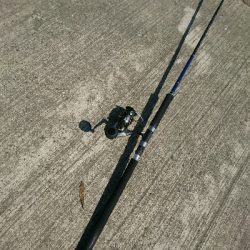 フラット狙いで、ようやくエソ！！