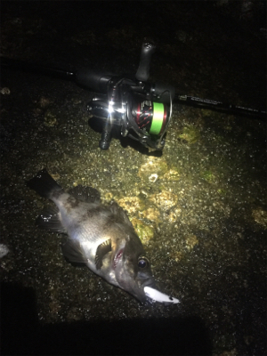 爆風メバリング