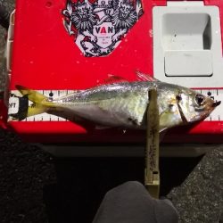 アジング 練習 132