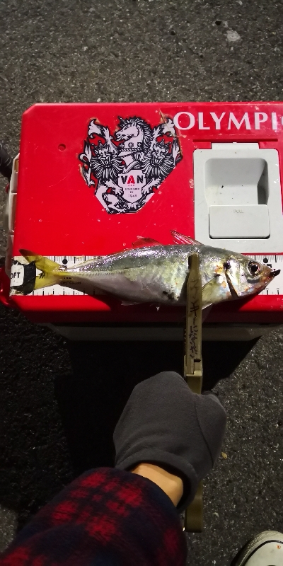 アジング 練習 132