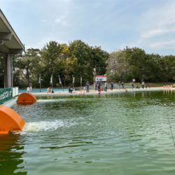 服部緑地プールトラウト