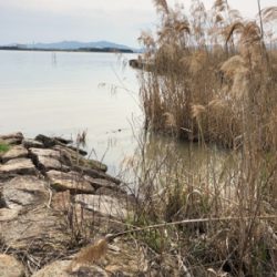 今年初の•••