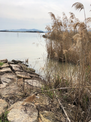 今年初の•••