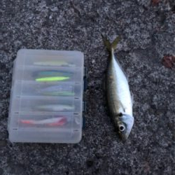 マイクロシュア