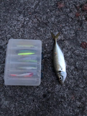 マイクロシュア