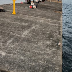 沖シーバス2週目