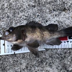 とある波止場のライトゲーム