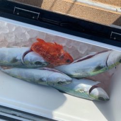 丹後沖ジギング