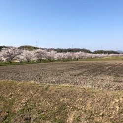 メバル今週は厳しかった!?