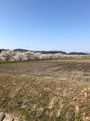 メバル今週は厳しかった!?