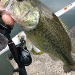 兵庫で初バス☆GUNNING-STYLE