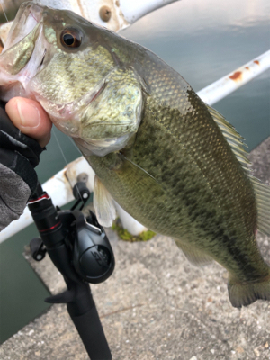 兵庫で初バス☆GUNNING-STYLE