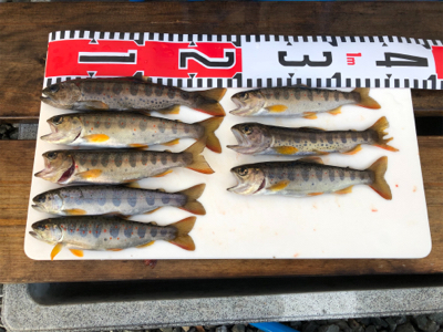 今回もボチボチ