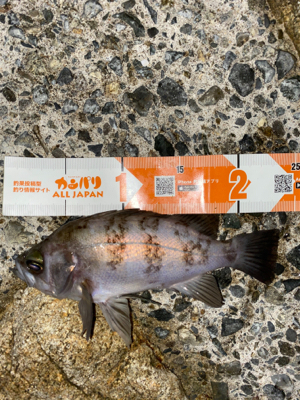 スーパームーン