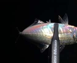 スーパームーン