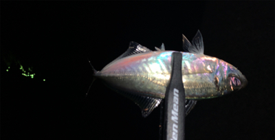 スーパームーン