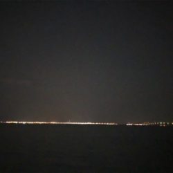 メバルを仕入れに