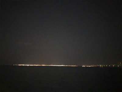 メバルを仕入れに