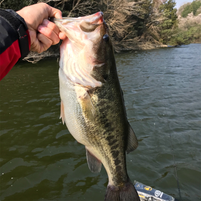 1日ボート釣行！