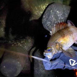 フロートゲーム