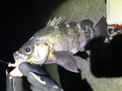 プラグ、フロートメバリング