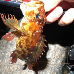 とあるサーフ&ゴロタのライトロック