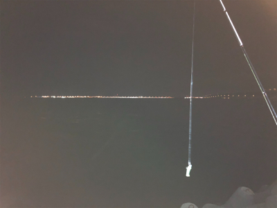 マズメからのメバリング