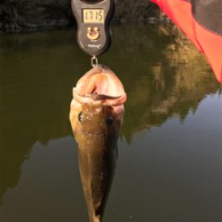 午前中ボート釣行！