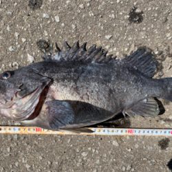 オフショアロック熱いです!