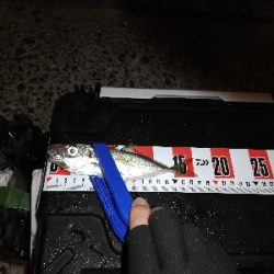 コロナストレス発散