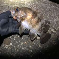 ハイプレッシャーポイント