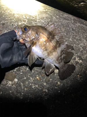 ハイプレッシャーポイント