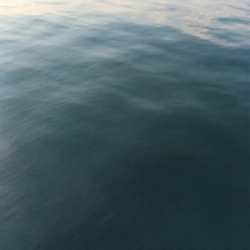 朝シーバスのヒルシーバス