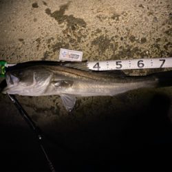 フラッシュブースト炸裂!