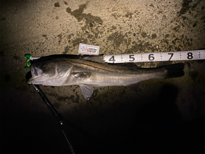 フラッシュブースト炸裂!