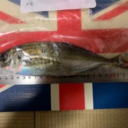 まだまだ夜は寒い