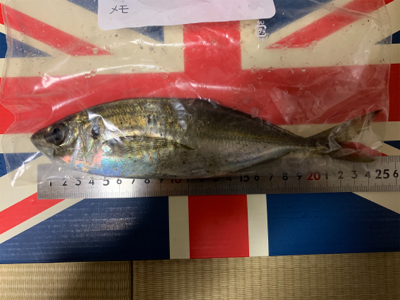 まだまだ夜は寒い