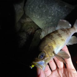 フロートメバリング