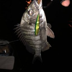 まだまだ活性低い?