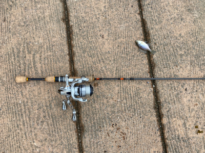 誰もいない野池で見えバス探し